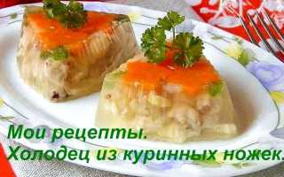 Холодец из куриных ножек – рецепт с фото пошагово, особенности приготовления и полезные советы