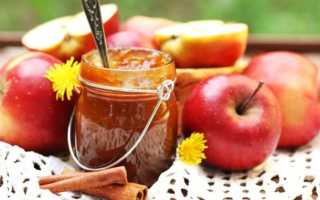 8 лучших рецептов приготовления вкусного варенья из яблок с корицей на зиму