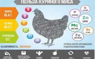 Куриная грудка на пару в мультиварке, пароварке. Рецепт, сколько времени готовить с овощами, сыром, гречкой, рисом