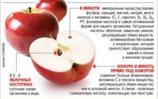 15 лучших рецептов приготовления лимонного джема на зиму