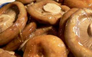 Как безопасно, правильно и вкусно солить грибы свинушки