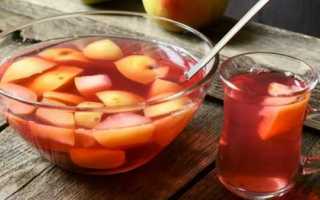 Компот из шиповника — лучшие рецепты. Как правильно и вкусно приготовить компот из шиповника.