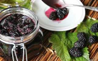 Варенье из ежевики: густое, с целыми ягодами, 14 простых и очень вкусных рецептов на зиму