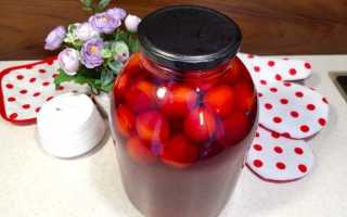 Компот из алычи на зиму: 6 домашних вкусных рецептов