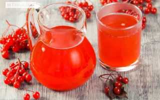 Сок калины – вкуснейший нектар, лечит он лучше всяких лекарств!