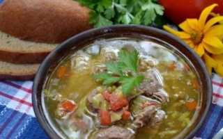 Рецепт супа из гуся. Как вкусно приготовить это блюдо