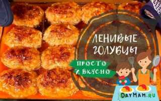 Ленивые голубцы в духовке — 10 рецептов голубцов в томатно-сметанном соусе