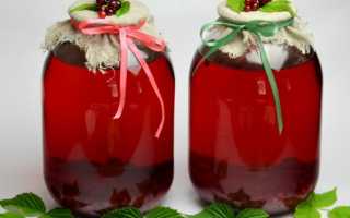 Компот из клюквы: как сварить полезный напиток – варианты приготовления вкусного клюквенного компота