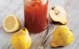Как сделать полезные и вкусные блюда с использованием китайской и японской айвы? Рецепты приготовления десертов и заготовок на зиму