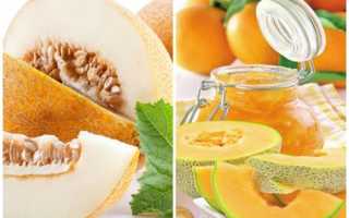 Варенье из дыни – 5 очень вкусных рецептов
