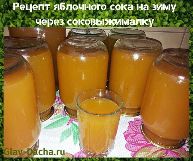 рецепт яблочного сока на зиму через соковыжималку