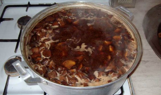 Варка грибов
